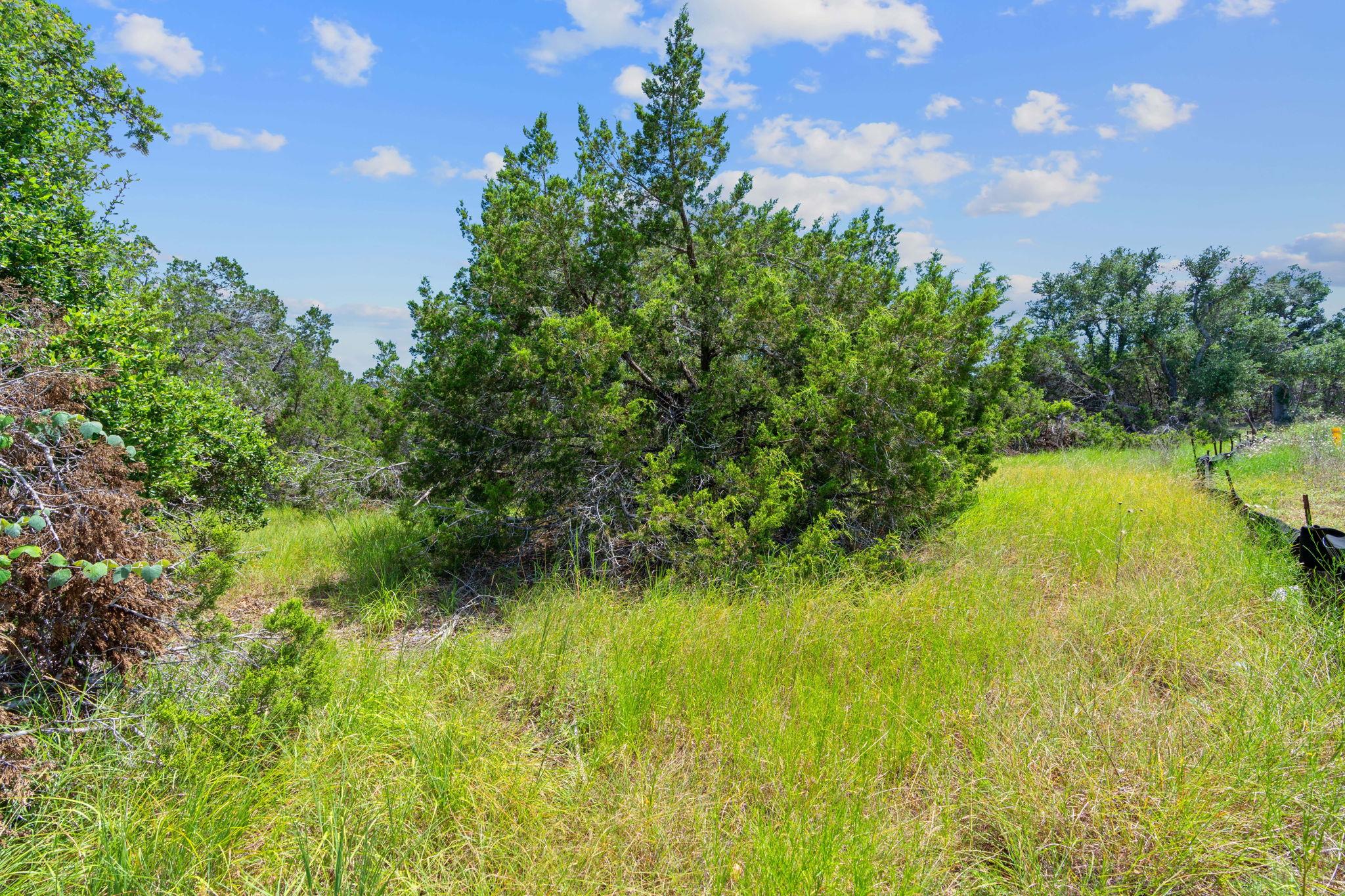 6505 Madrone Tree Ln