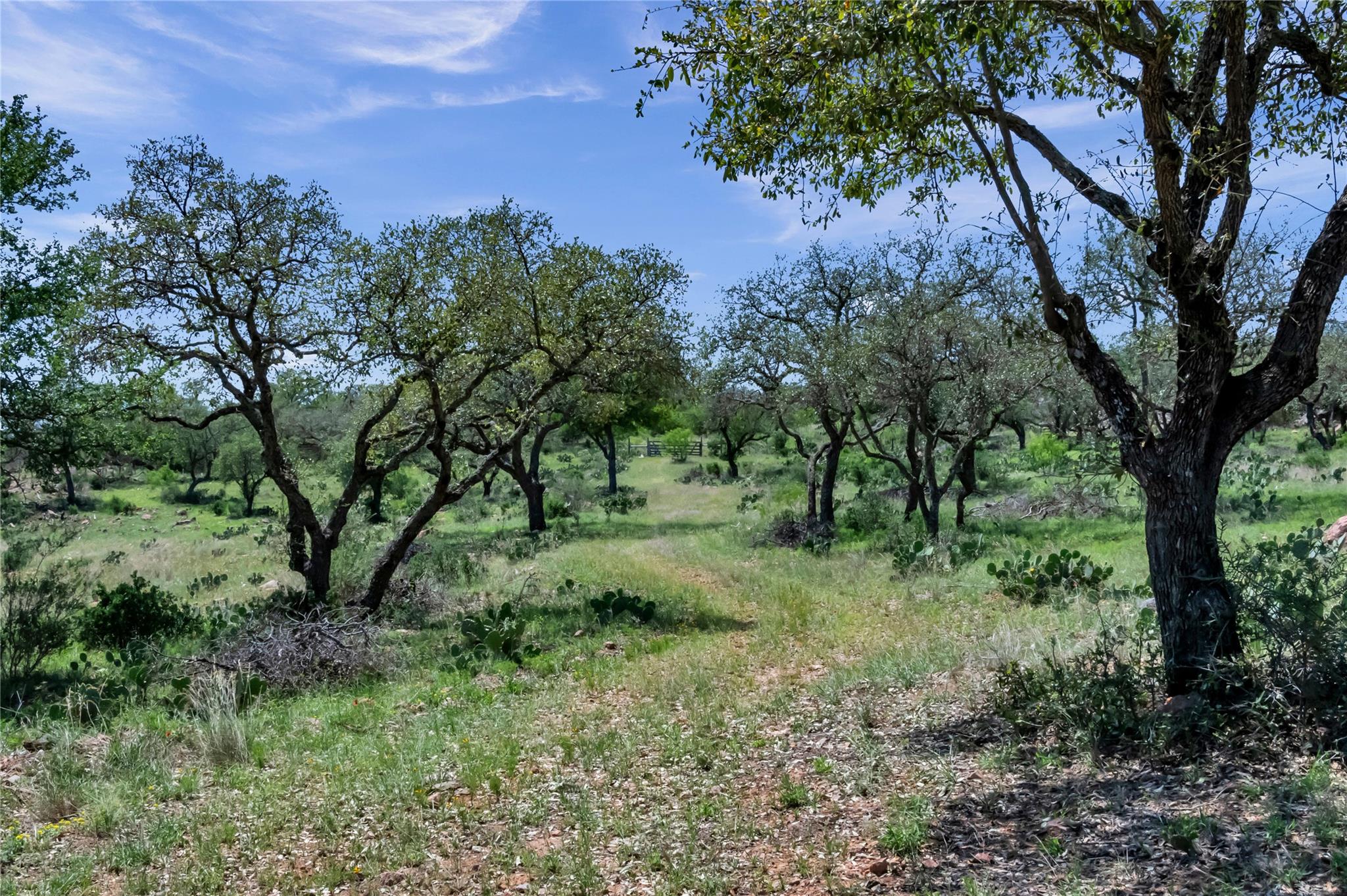 194 Reed Ranch RD