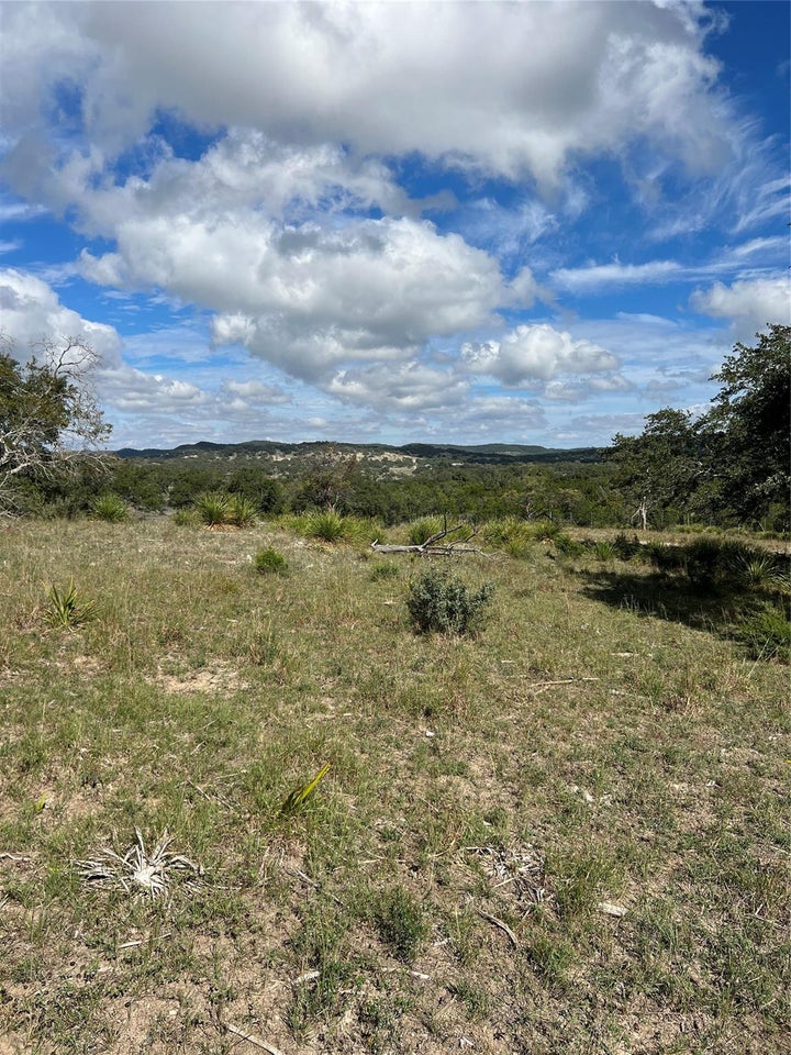 View of nature