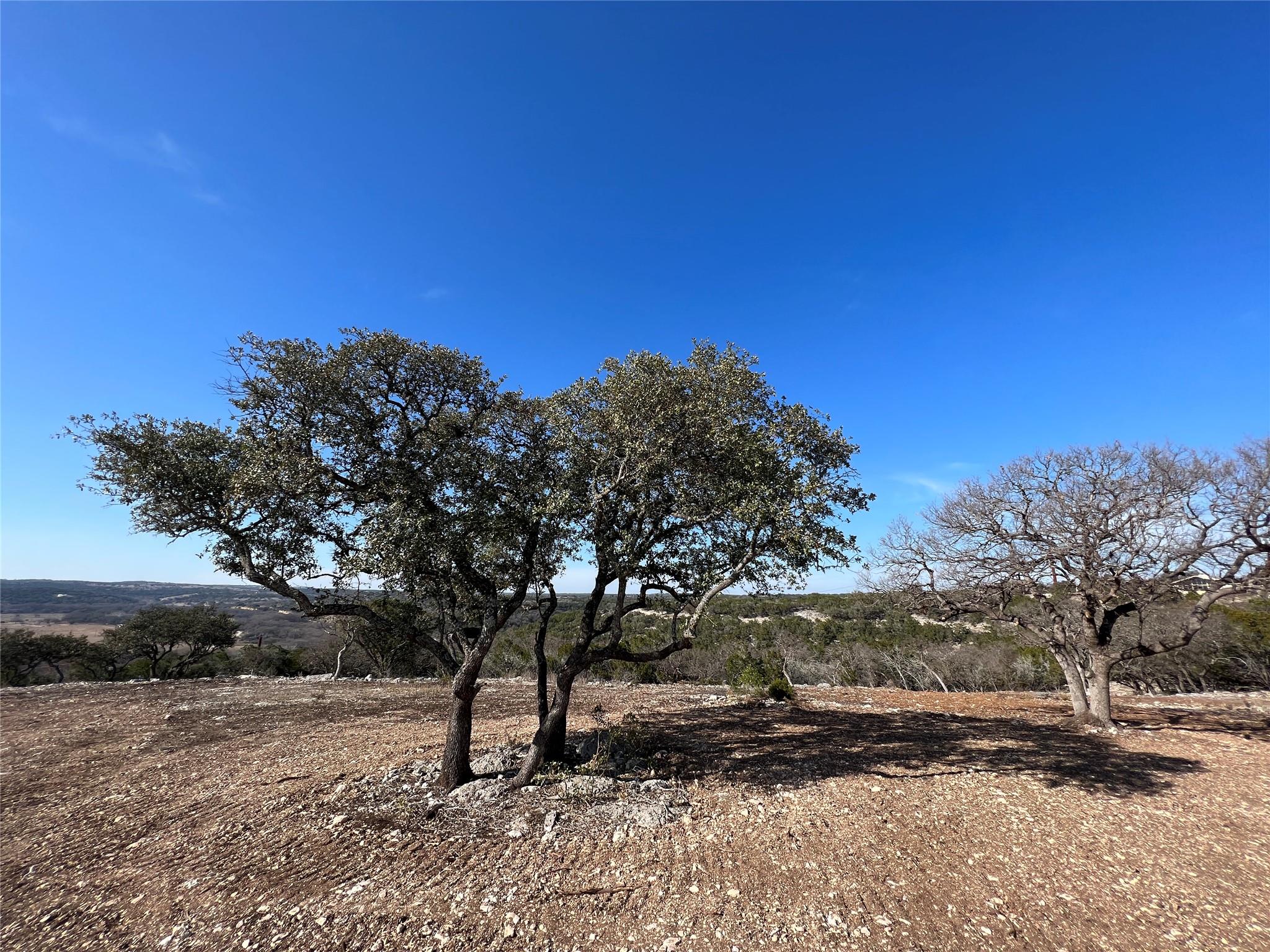 00 Cave Springs DR