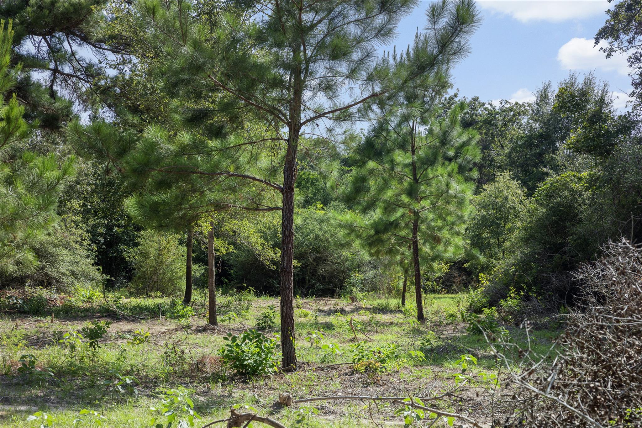 422 Private Road 7051 RD