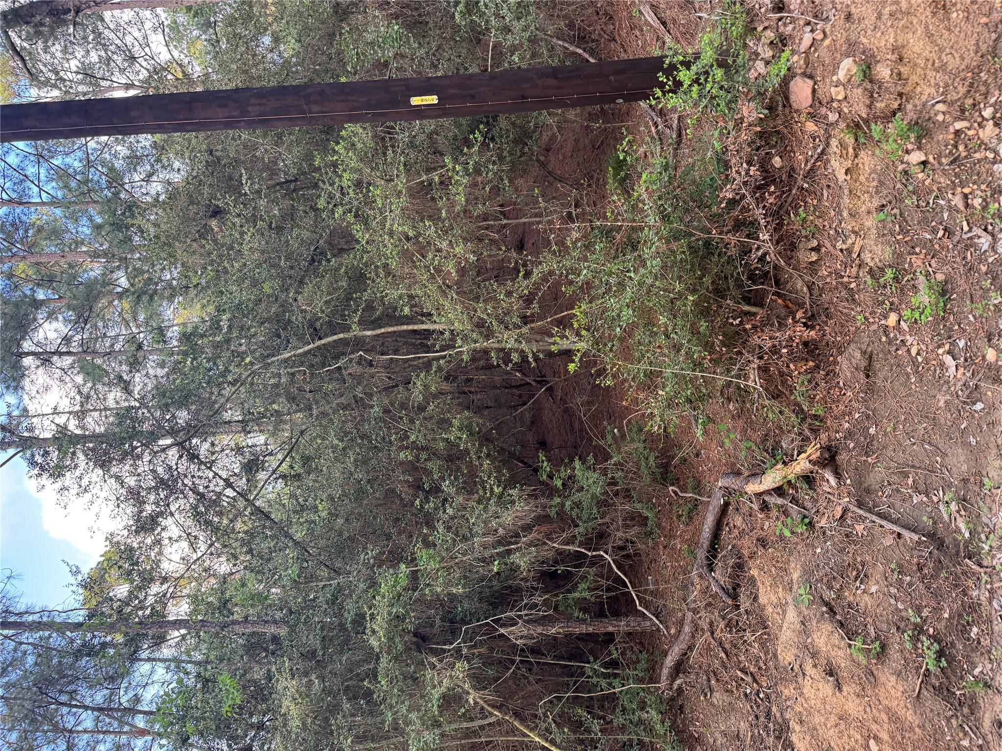 Lots 158 and 159 Hekili DR