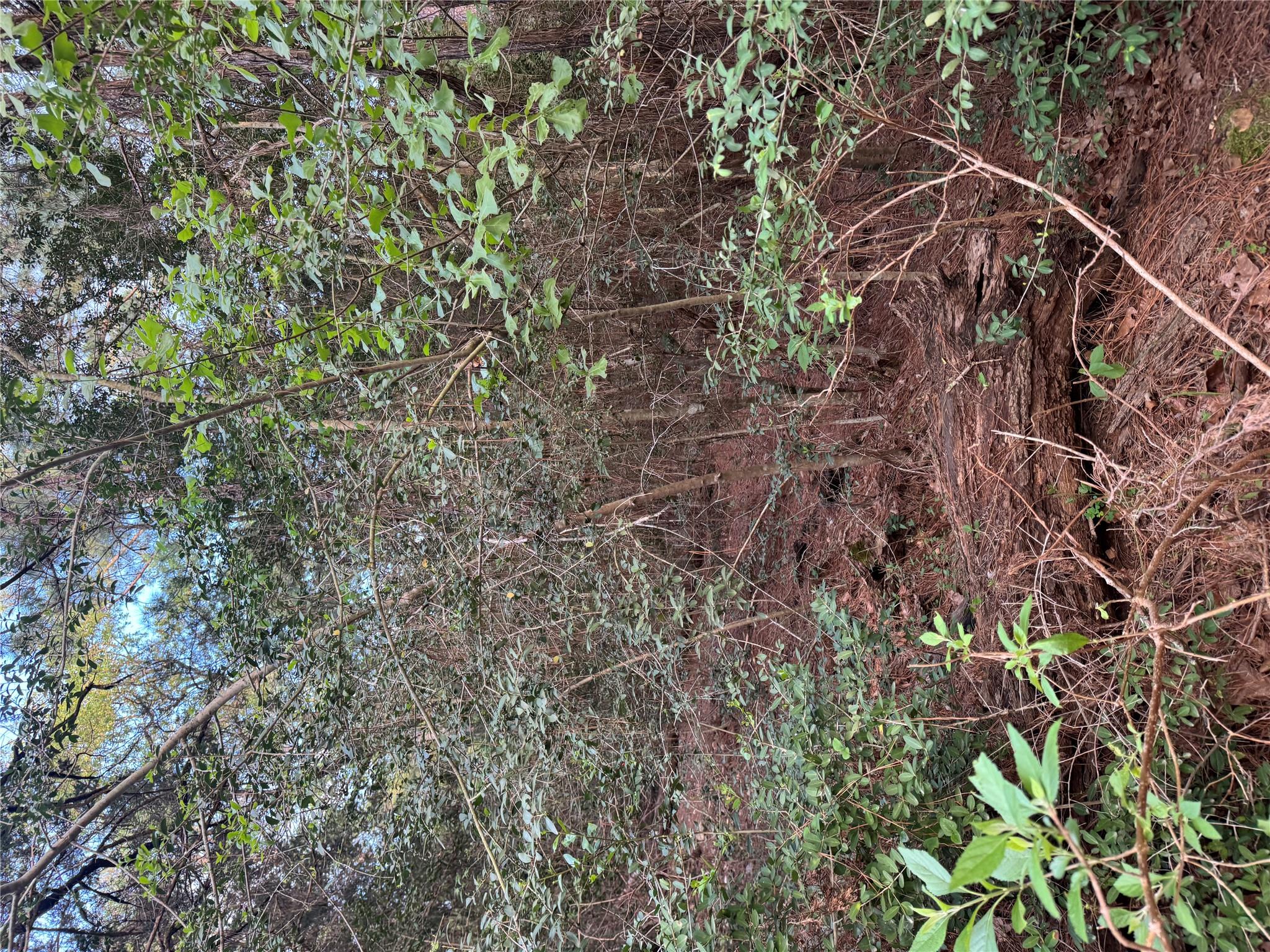 Lots 158 and 159 Hekili DR