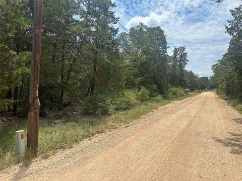 246 Arrowhead DR Smithville TX 78957