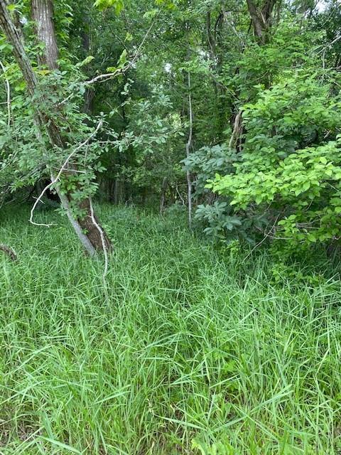 Lot 812 Kaukonahua LN