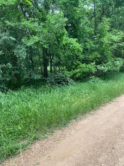 Photo of Lot 812 Kaukonahua LN, Bastrop, TX 78602 (MLS # 7593160)