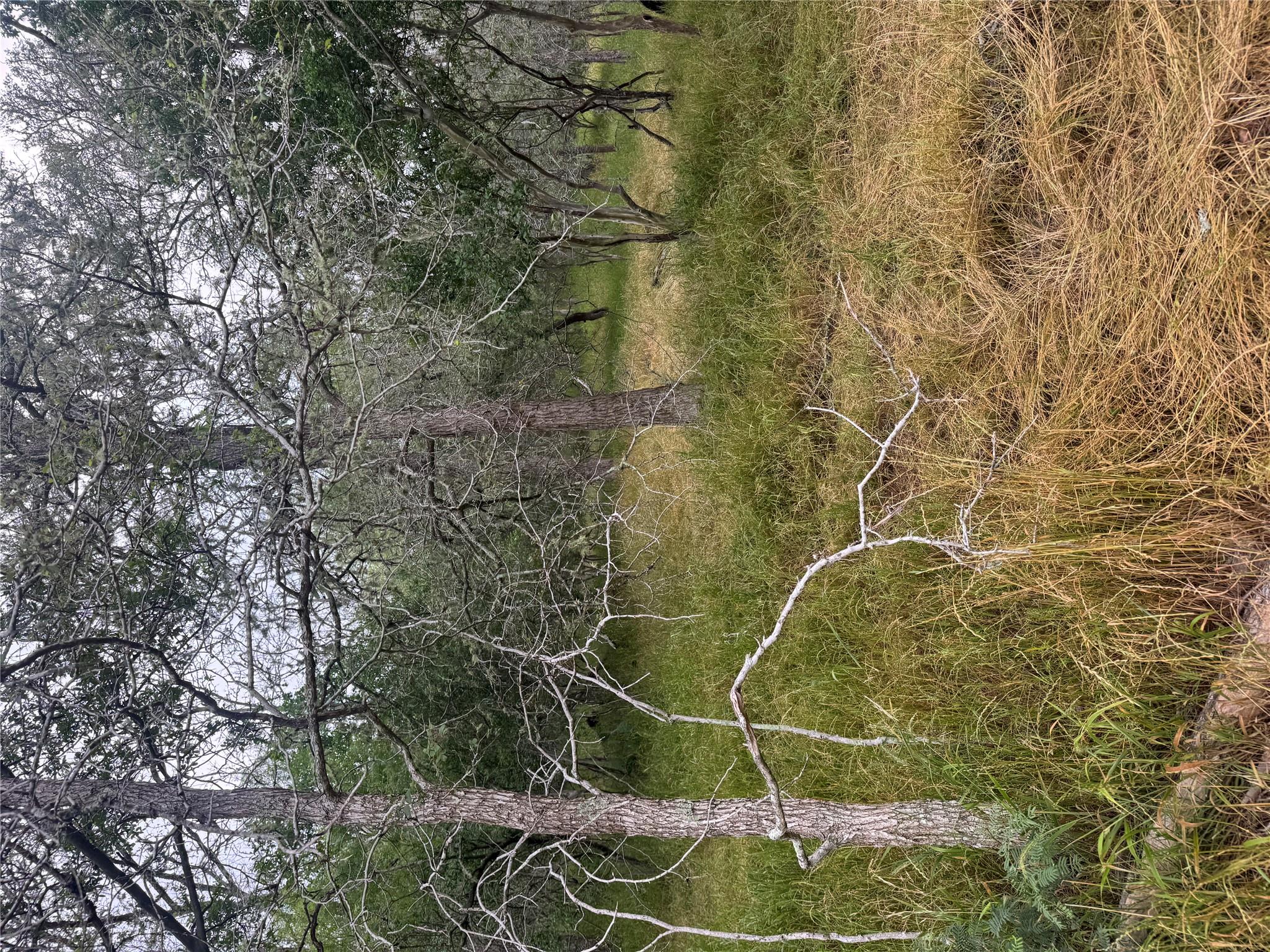 109 Hauula CT