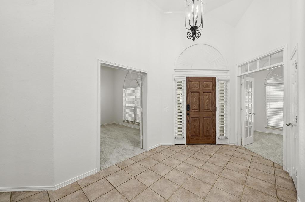 1521 Foppiano LOOP