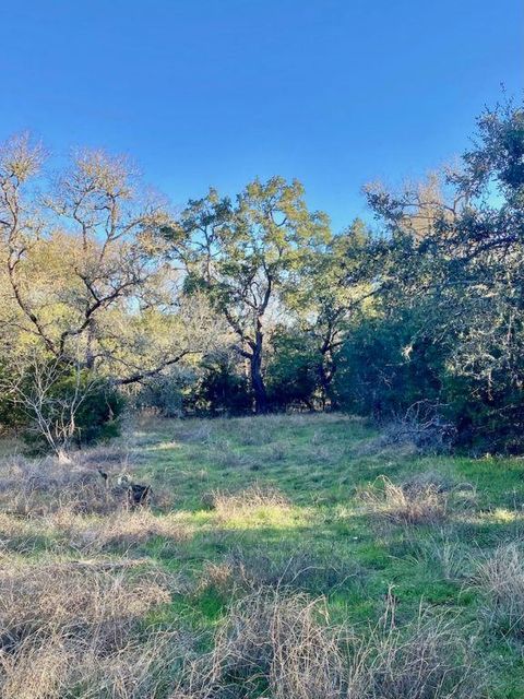 1081 Clark CV Buda TX 78610