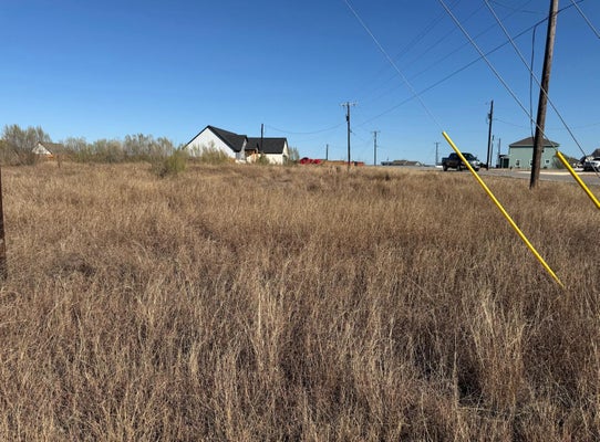 103 DESPERADO LOOP, DEL VALLE, TX 78617 - Image 31521ae7a32baa4287c586c38d3bddd7/3312813861
