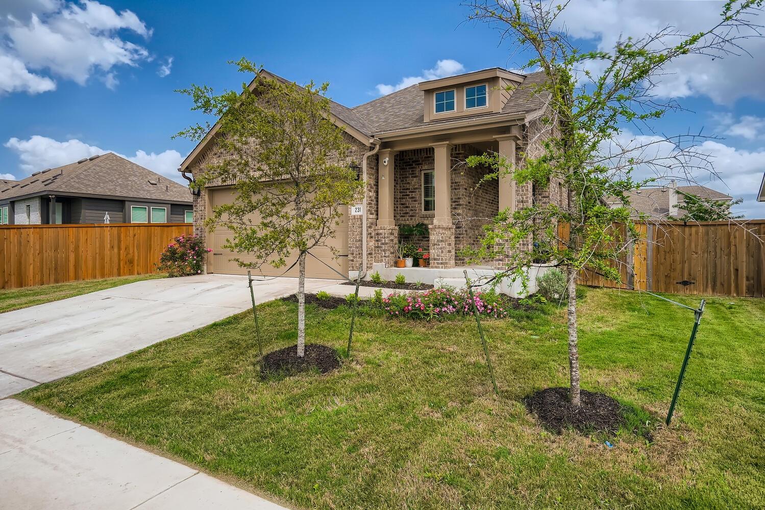 231 Spinnaker LOOP
