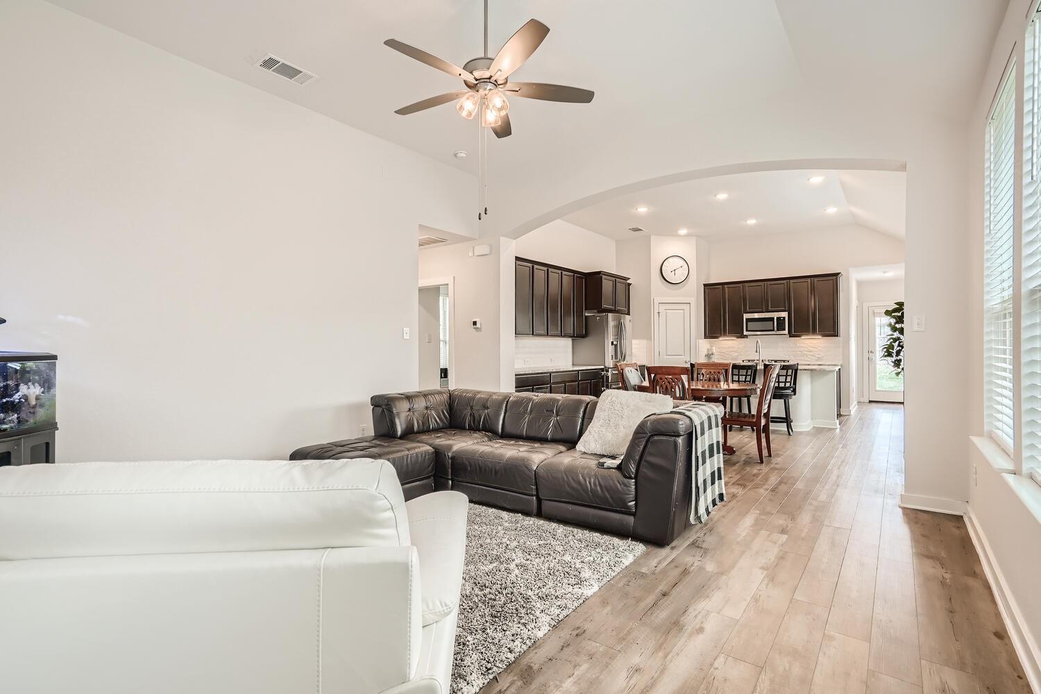 231 Spinnaker LOOP