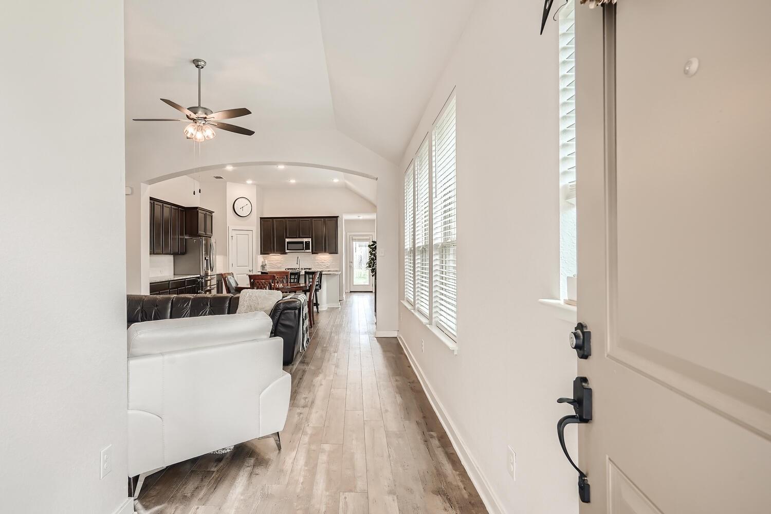 231 Spinnaker LOOP