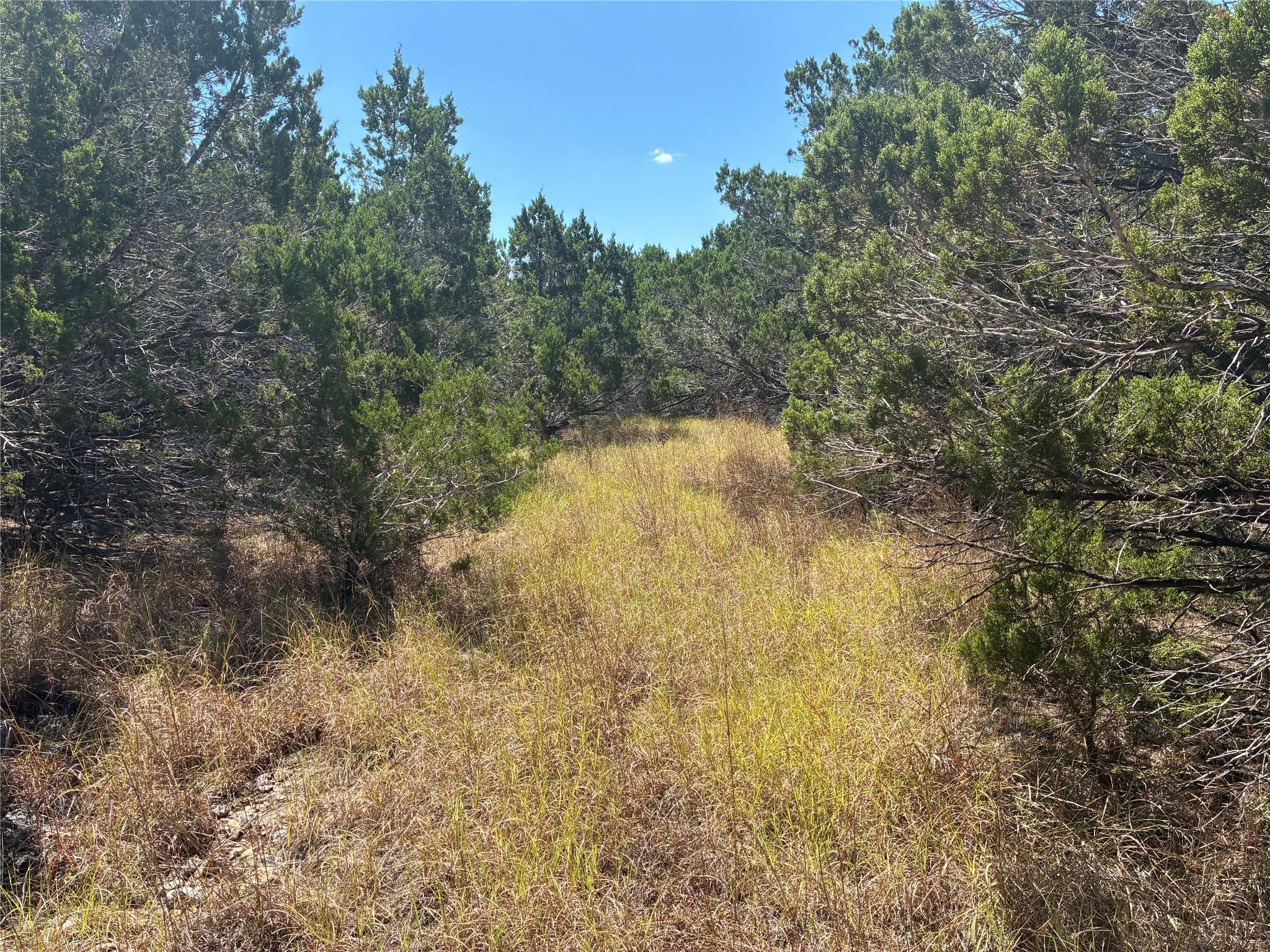 317 W Headwaters Ranch RD