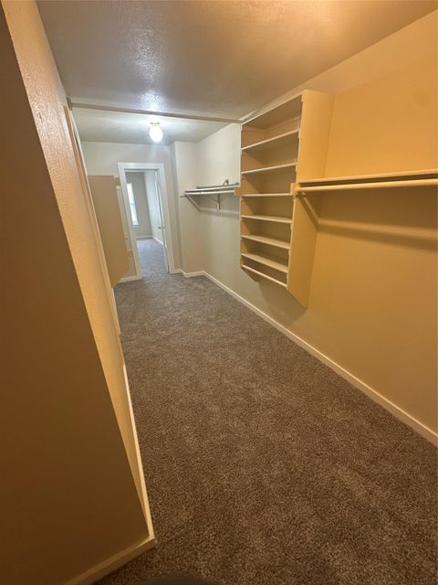 Tiny photo for 20805 Trotters LN, Pflugerville, TX 78660 (MLS # 4785627)
