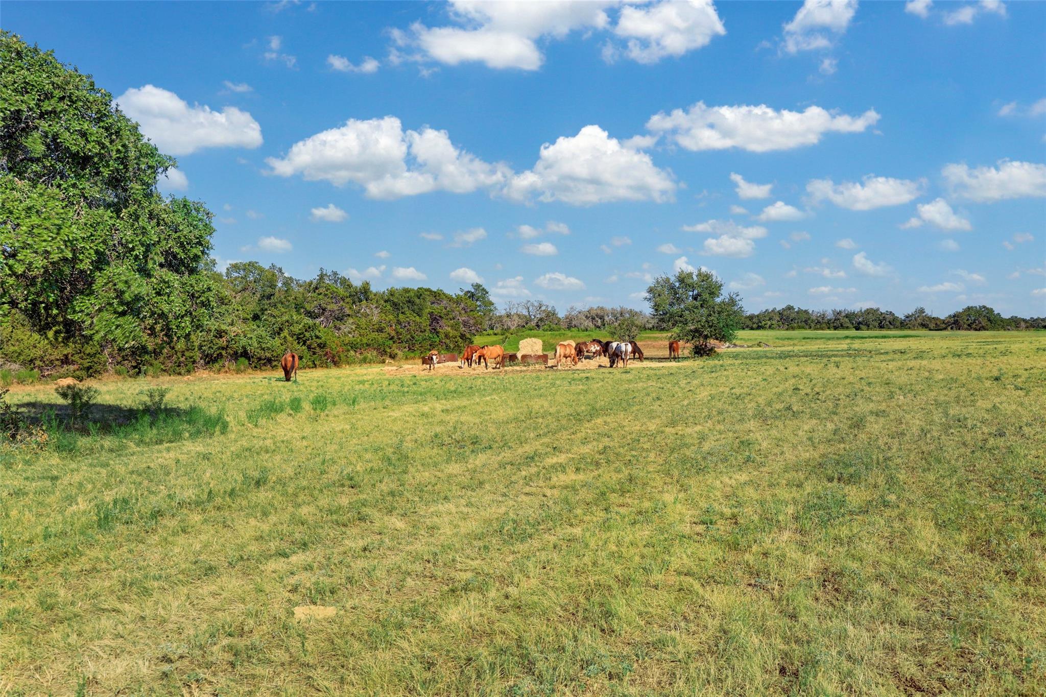 2055 County Road 284 Parcel B