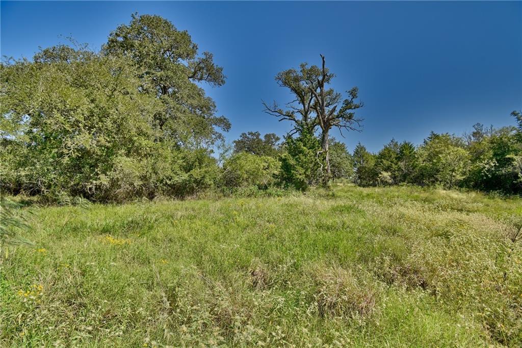 Photo 5 of 17 of 159 Starlight Path land