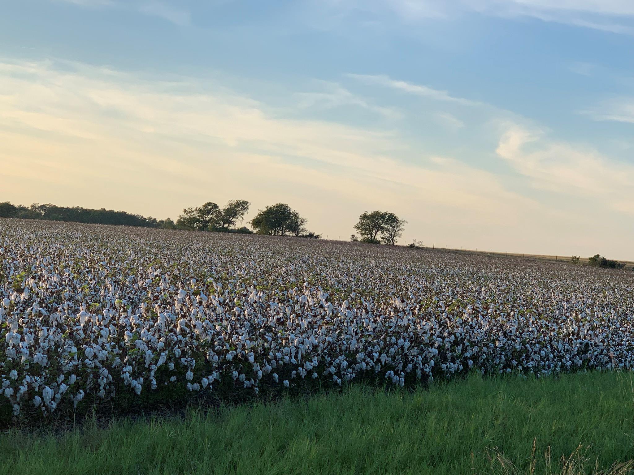 TBD2 County Road 154
