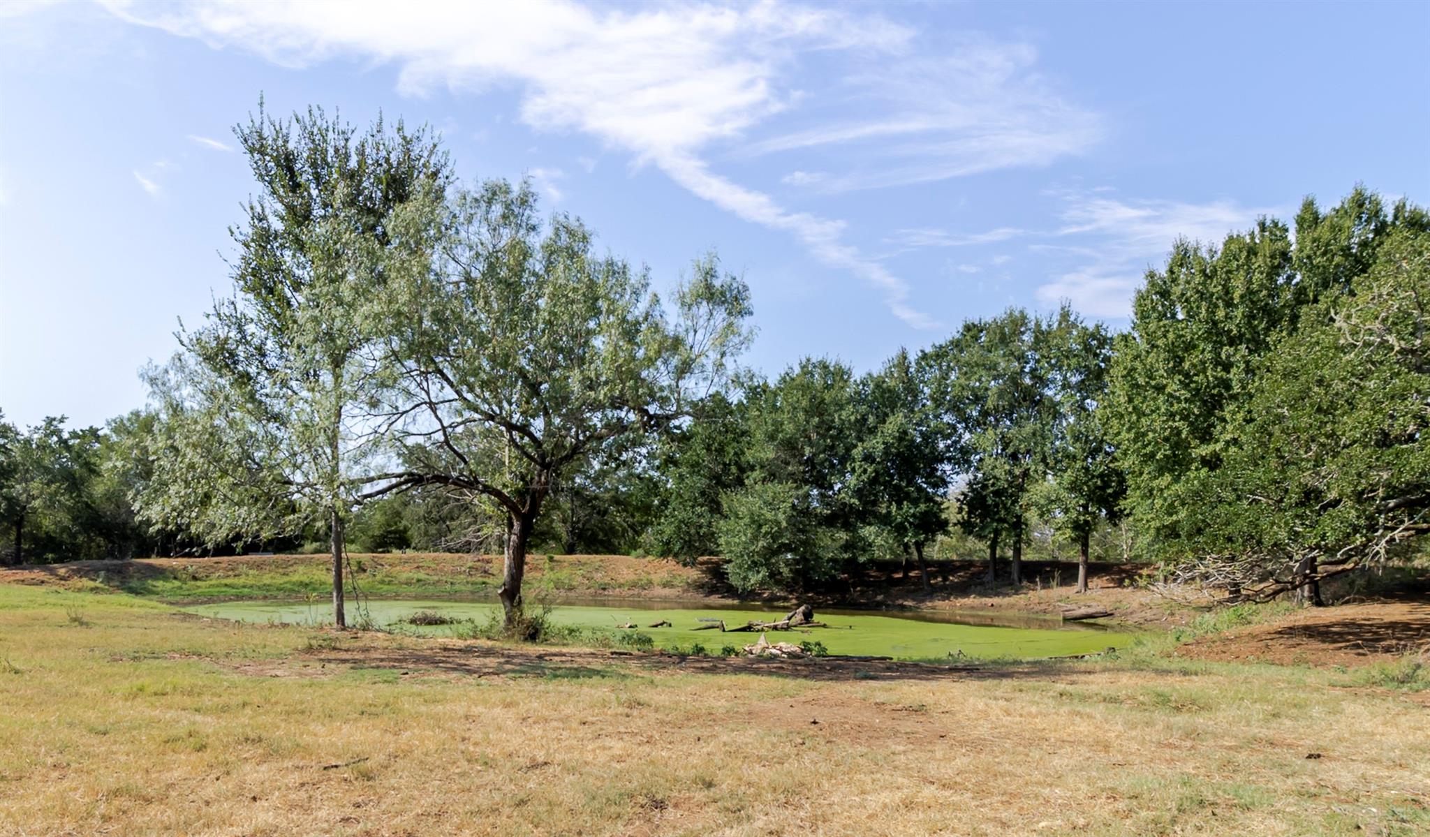 2015 TX-21