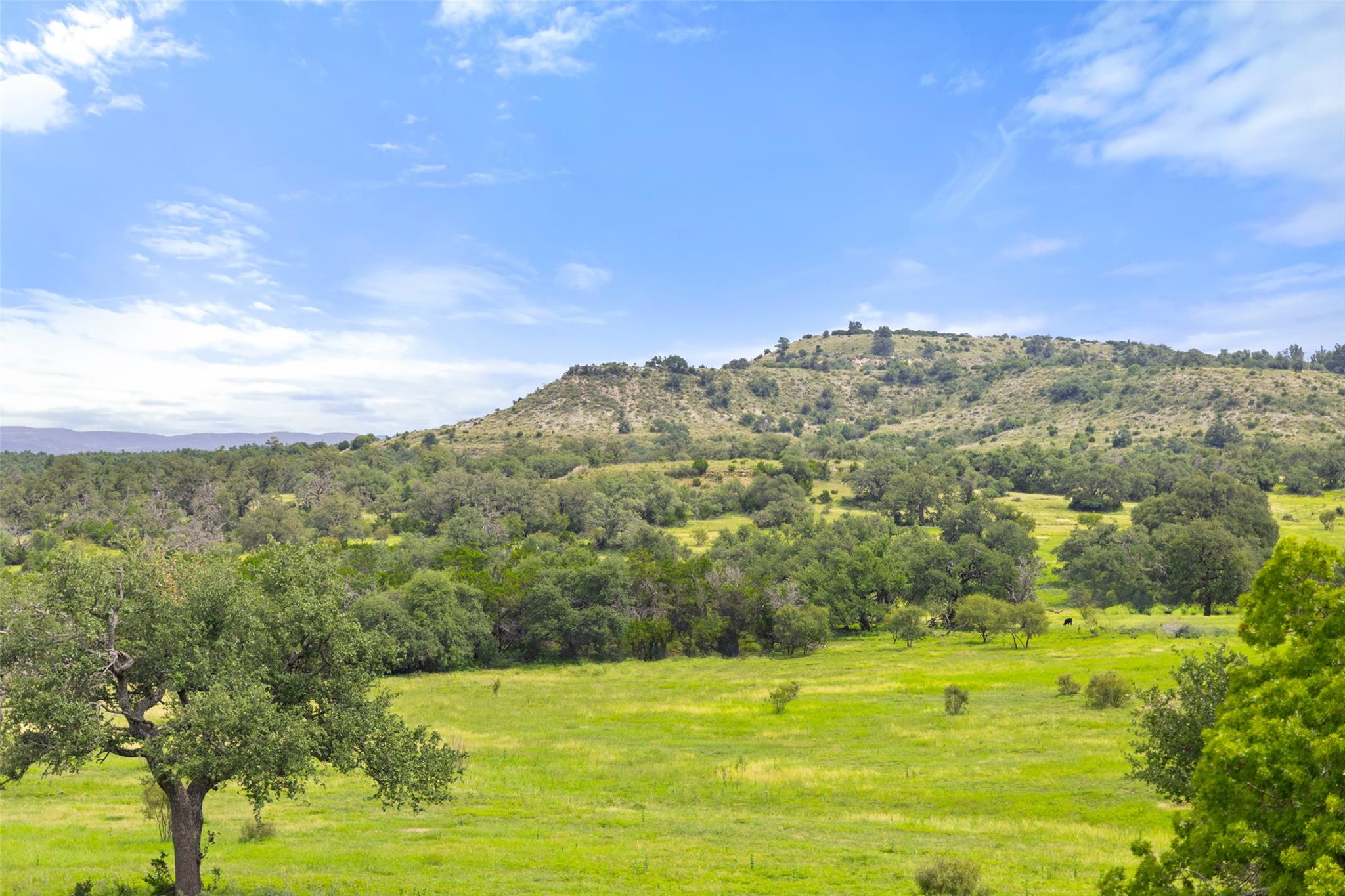 9069-86 Ranch Road 1323