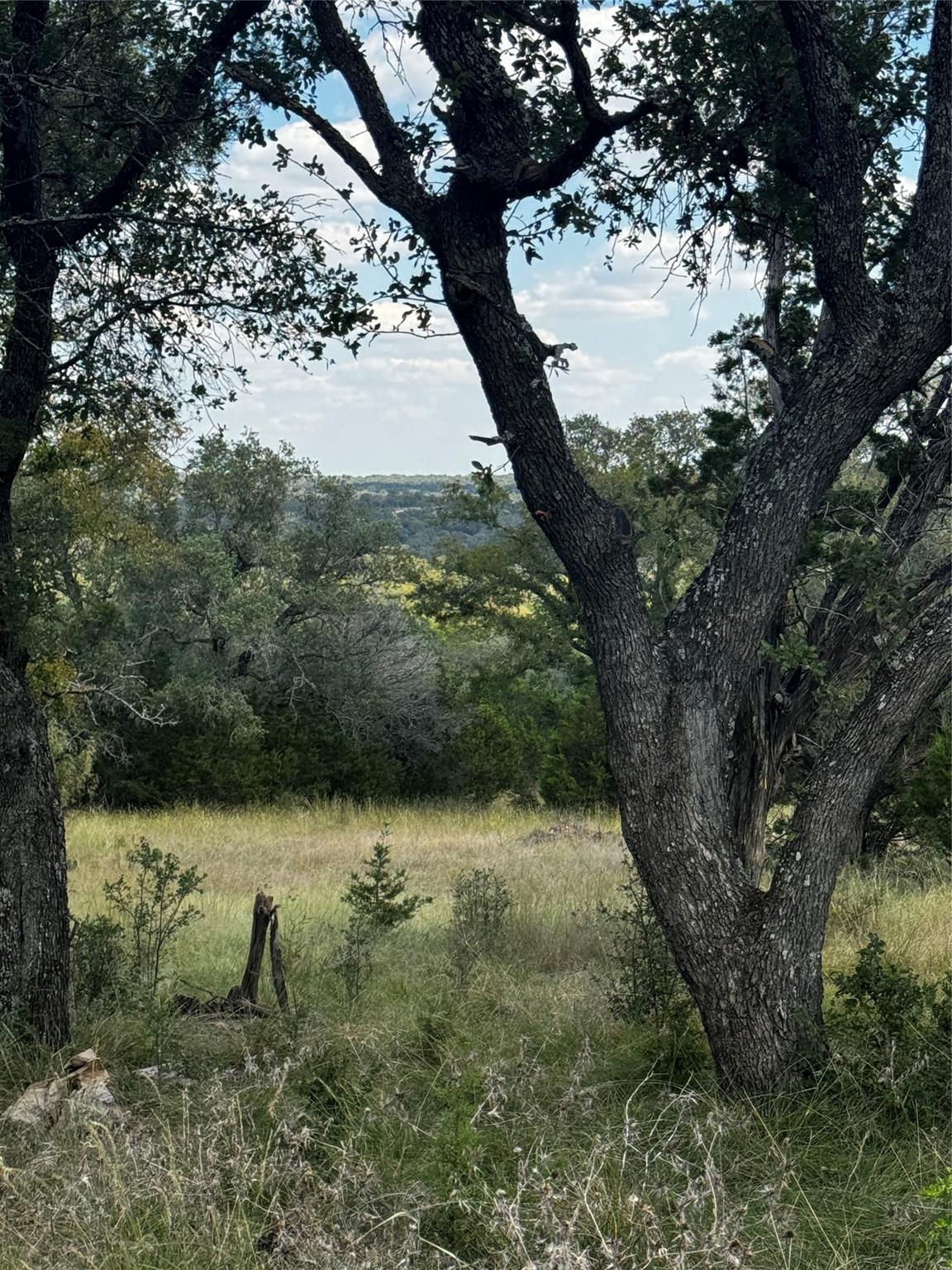 LOT 89 WHITETAIL TRAIL