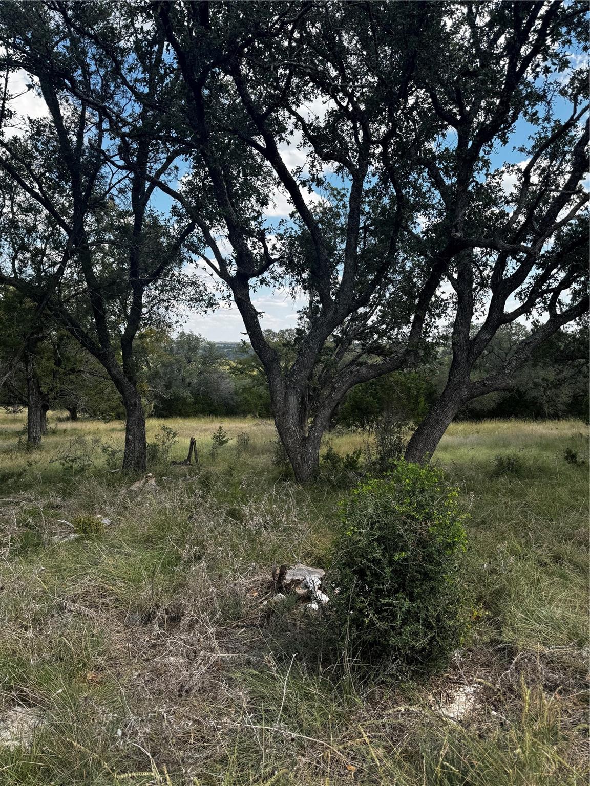 LOT 89 WHITETAIL TRAIL