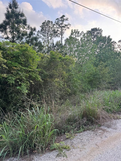 Photo of Lot 1386 N Pahihi DR, Bastrop, TX 78602 (MLS # 9562766)