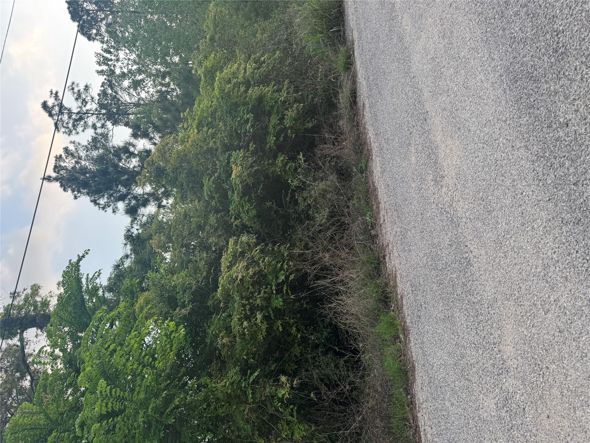 Lot 1386 N Pahihi DR