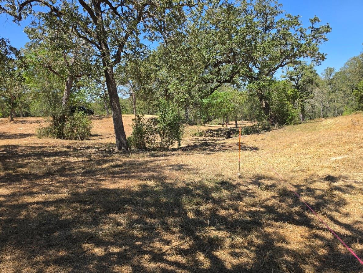 183 Wilbarger CV