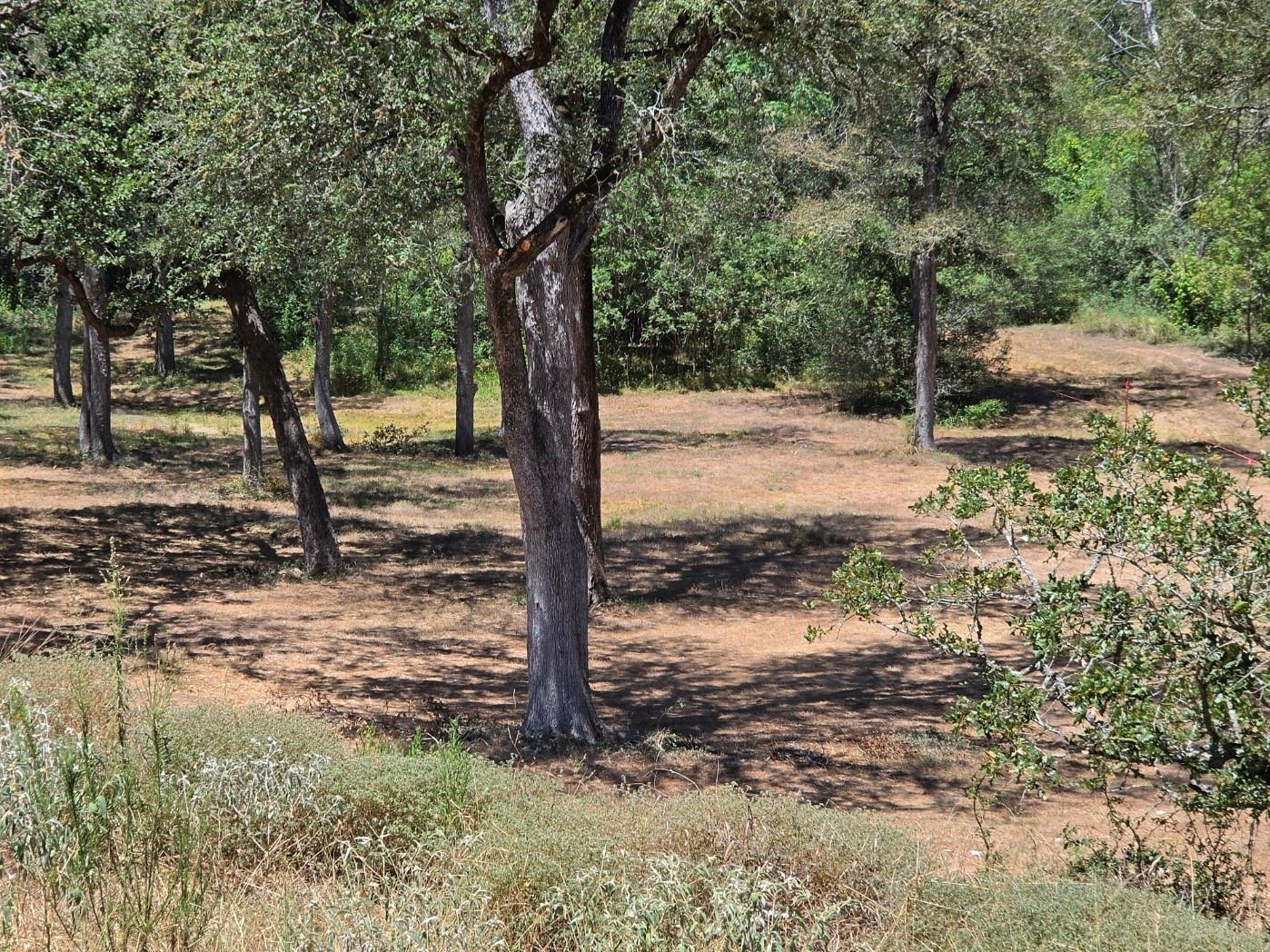 183 Wilbarger CV