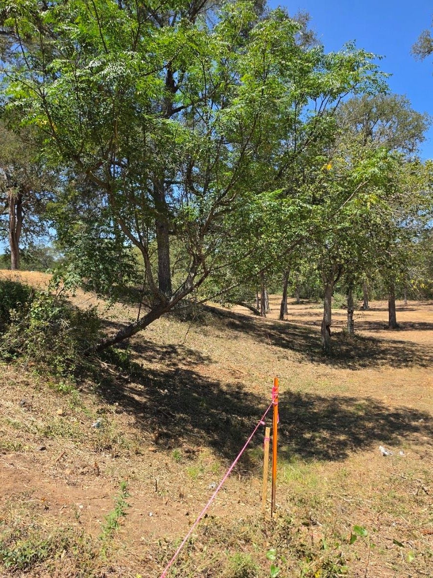183 Wilbarger CV