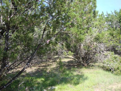 36 Travis Oaks DR Marble Falls TX 78654