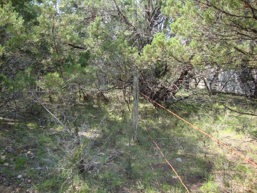 36 Travis Oaks DR