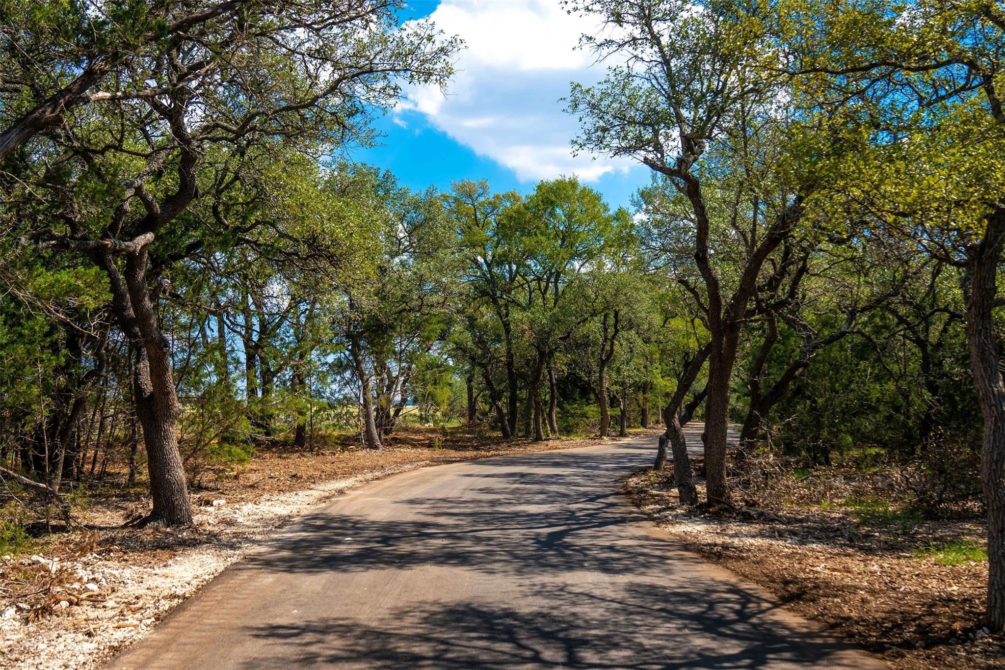597 Spaniel Hill RD