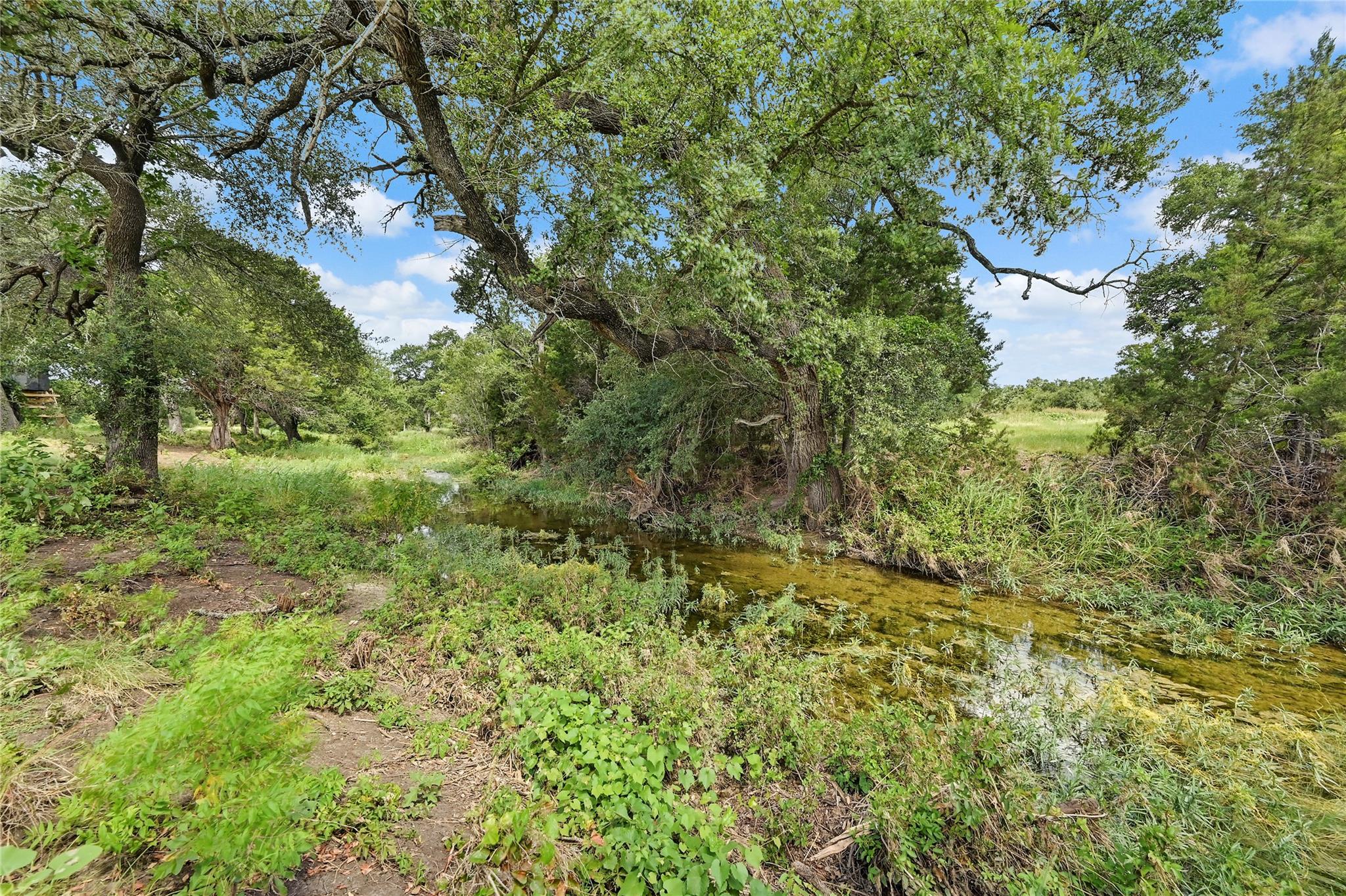 597 Spaniel Hill RD