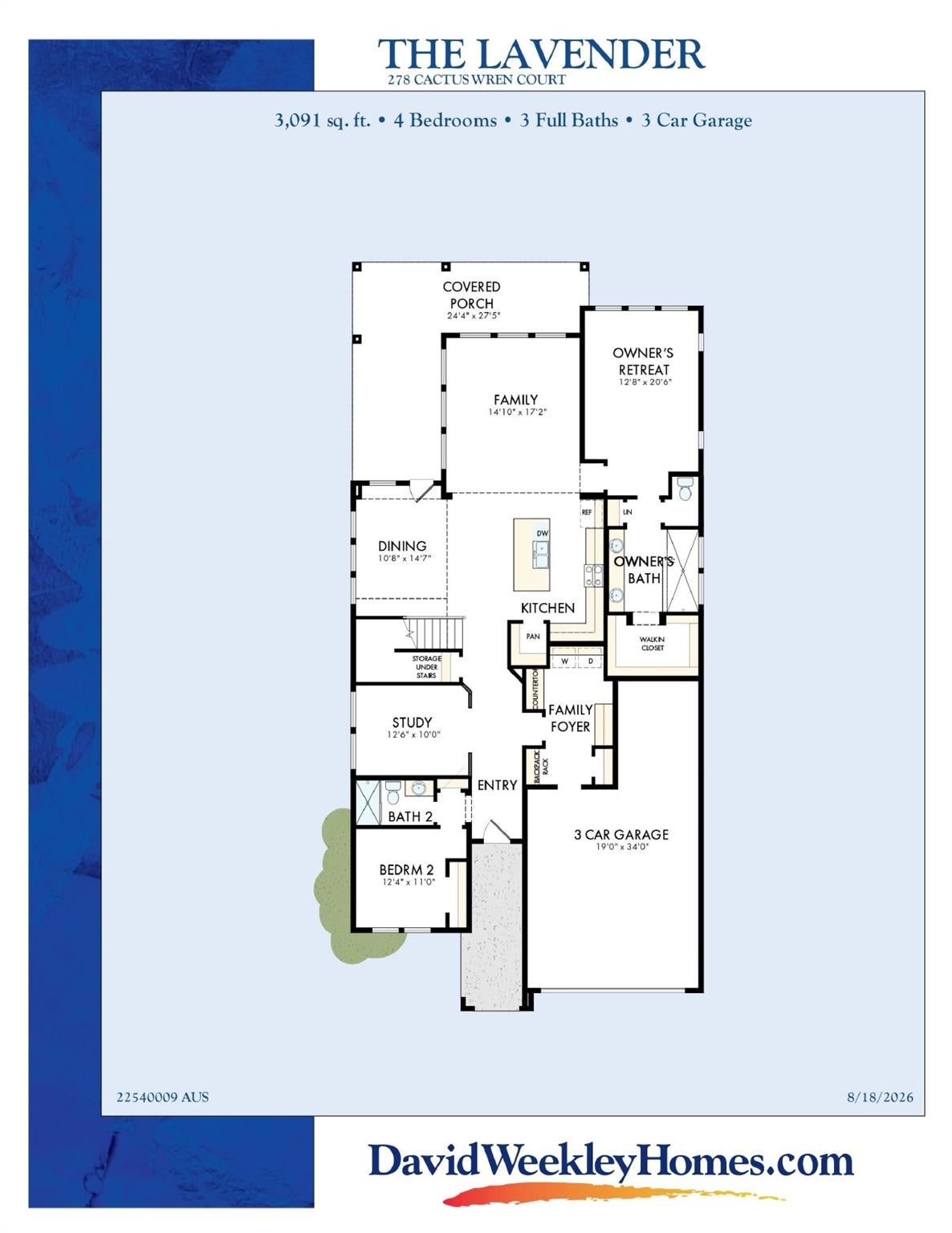 278 Cactus Wren CT