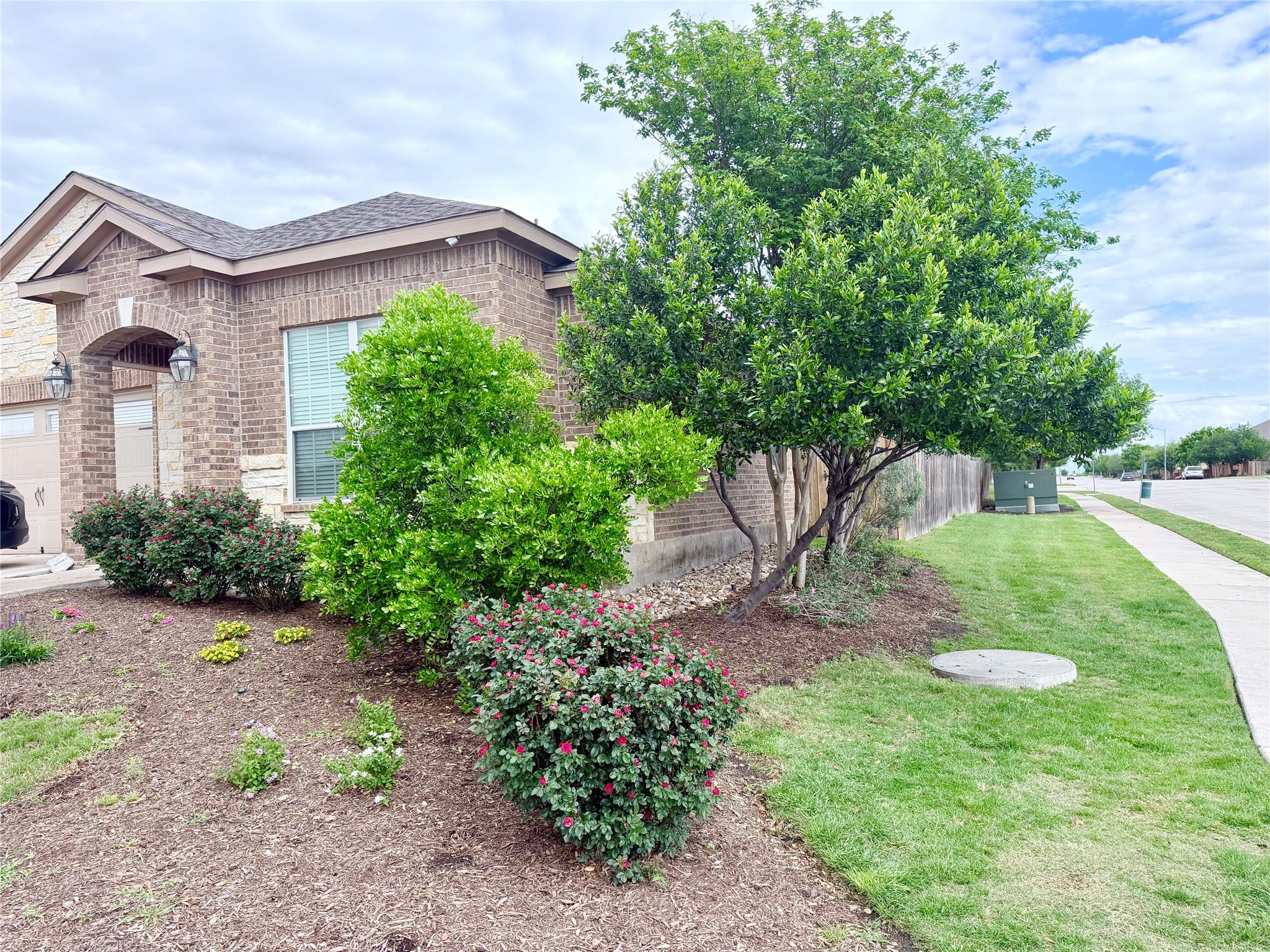 19501 Per Lange PASS