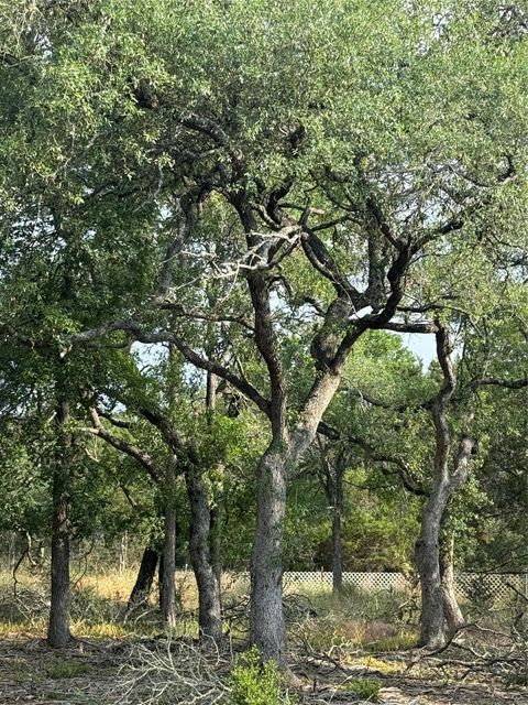 16 W El Camino Real DR Wimberley TX 78676