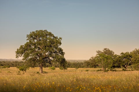 Photo of 365 Gipson Rd Rd, Johnson City, TX 78636 (MLS # 2884779)