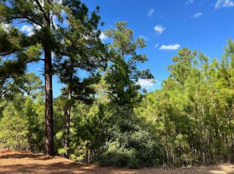 Photo of Lot 986 Kailua L LN, Bastrop, TX 78602 (MLS # 4045829)