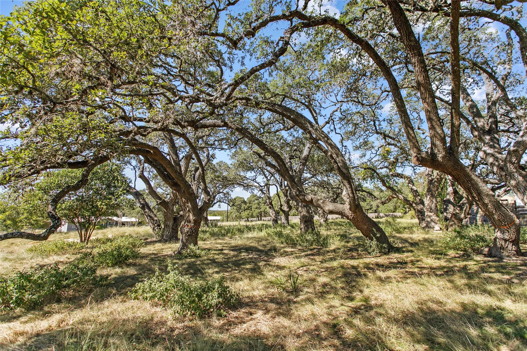 Lots in Greenlawn Place offer the quiet of the country and the proximity of downtown living! The best of both worlds!
