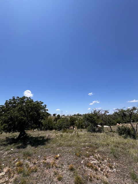 420 Canyons DR Lot 76 Fredericksburg TX 78624