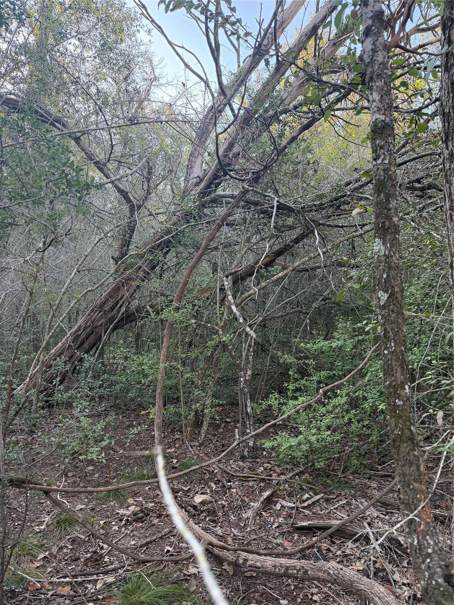 Lot 608 Waimanalo DR