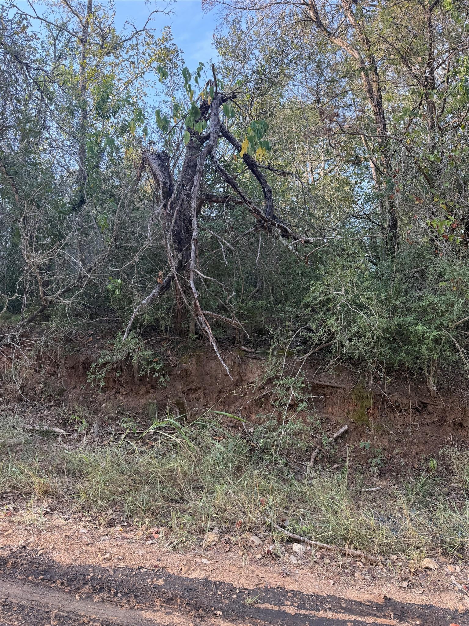 Lot 608 Waimanalo DR