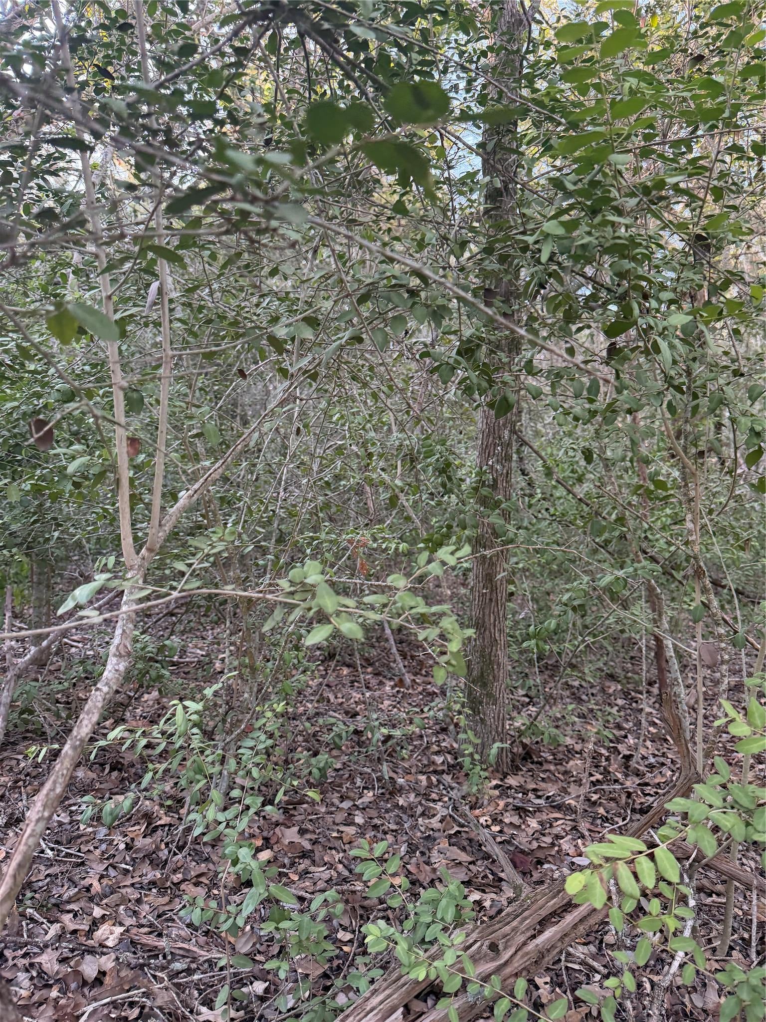 Lot 608 Waimanalo DR