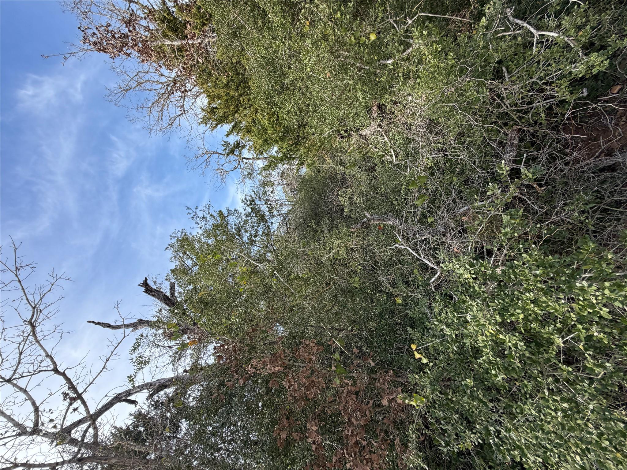 Lot 20 Flint Ridge ST