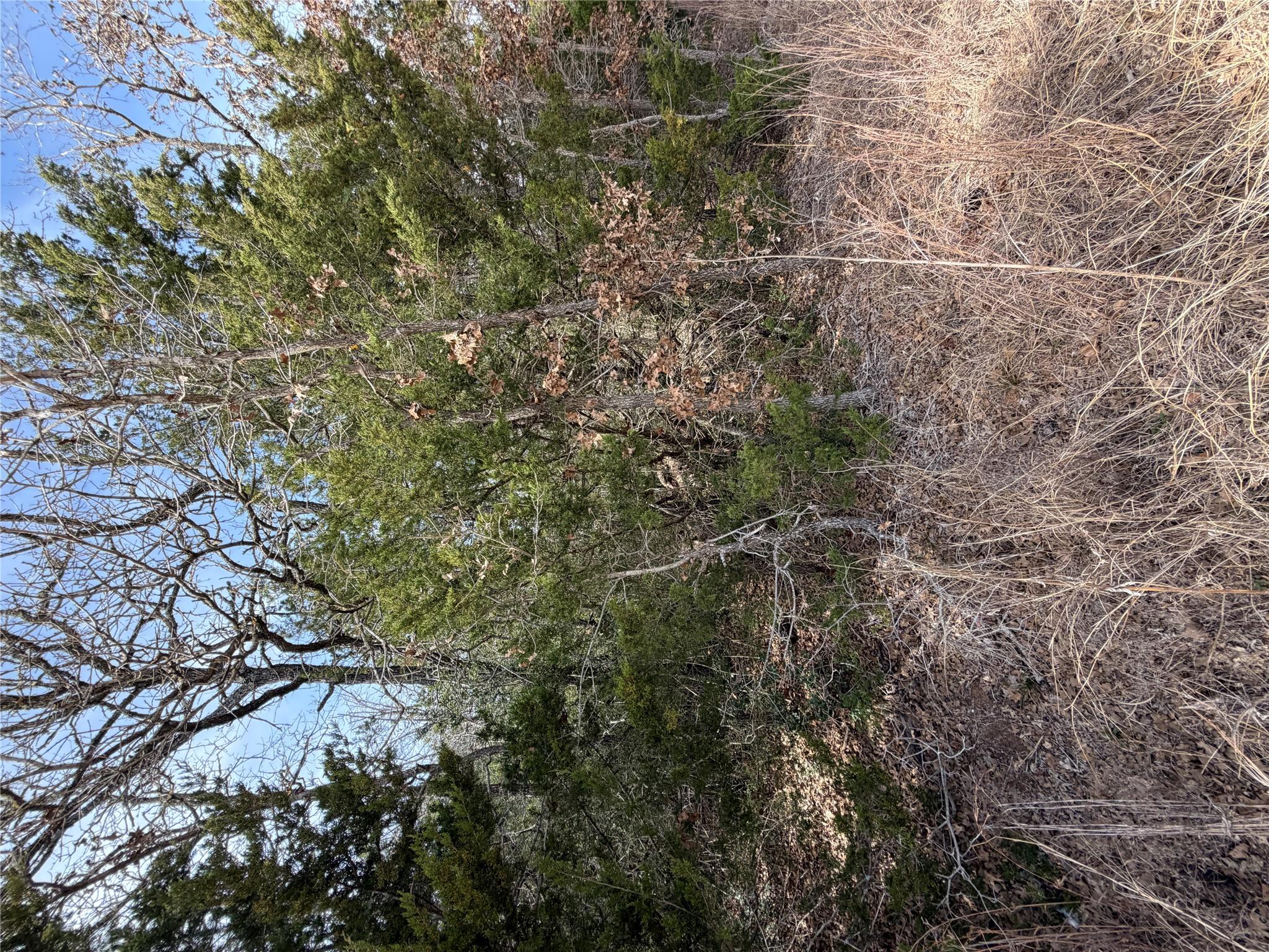 Lot 20 Flint Ridge ST