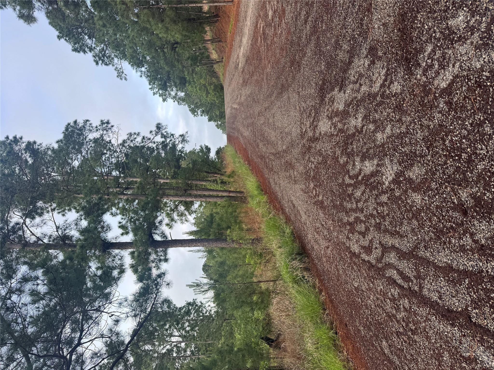 Lot 1492 Haleakala