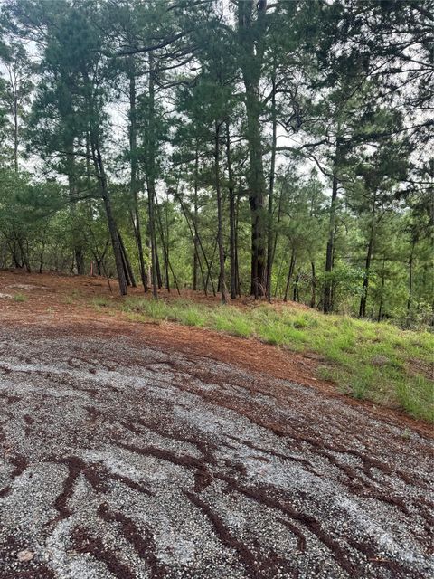 Lot 1492 Haleakala Bastrop TX 78602