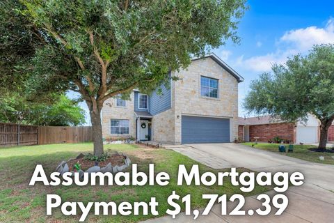 Tiny photo for 18400 Sun Haven CV, Elgin, TX 78621 (MLS # 1692171)